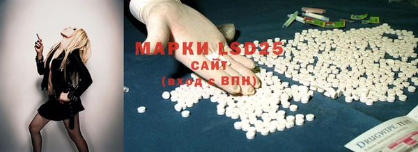 эйфоретик Абинск