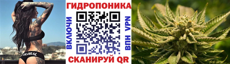 Марихуана ГИДРОПОН  продажа наркотиков  Черкесск 